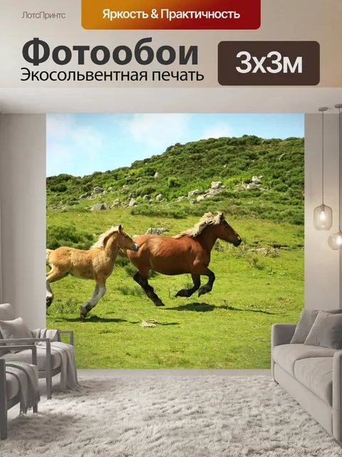 Фотообои Лошади