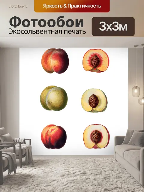 Фотообои Фрукты персики старинные клипарт