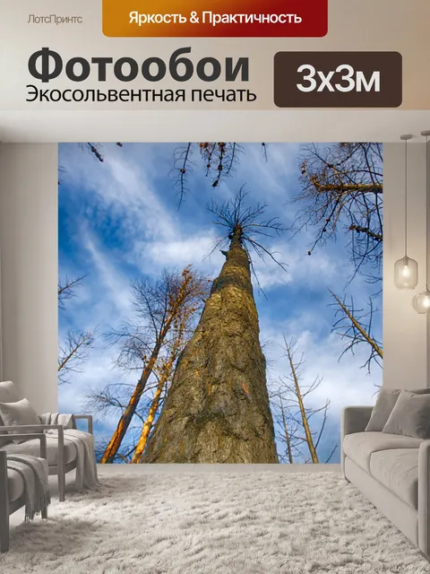 Фотообои Крупным планом Обгоревшие Дерево в лесу