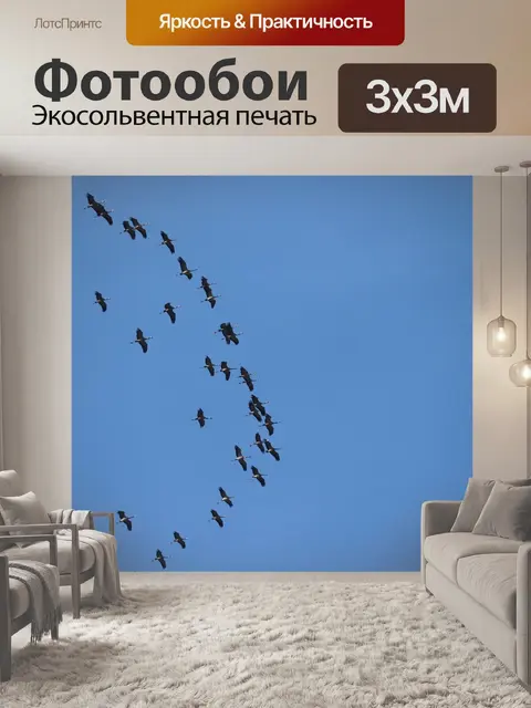 Фотообои Краны
