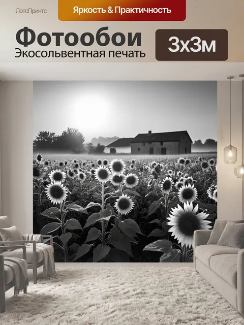 Фотообои прованс: прохладный утренний туман об envelops поля с подсолнухами