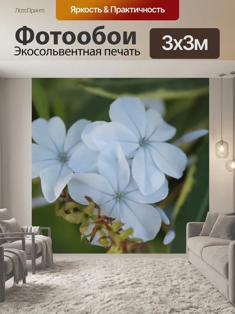 Фотообои Цветы