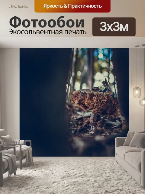 Фотообои Гриб
