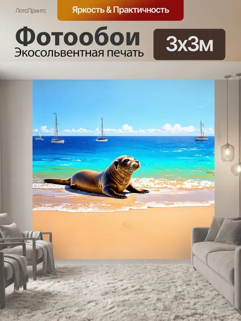 Фотообои тюлень, выбросившийся на пляж, изучает окрестности под ярким солнечным светом