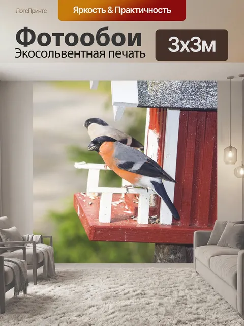 Фотообои Птицы