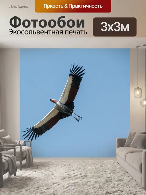 Фотообои Птица
