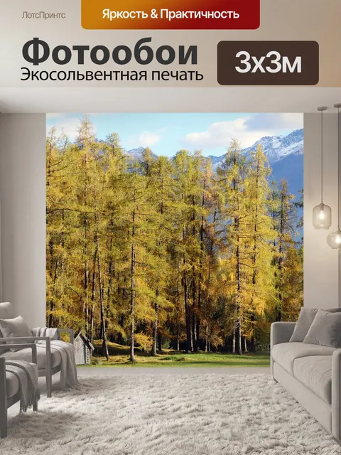 Фотообои Лес