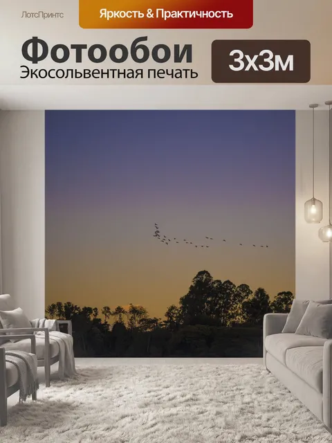 Фотообои Птицы