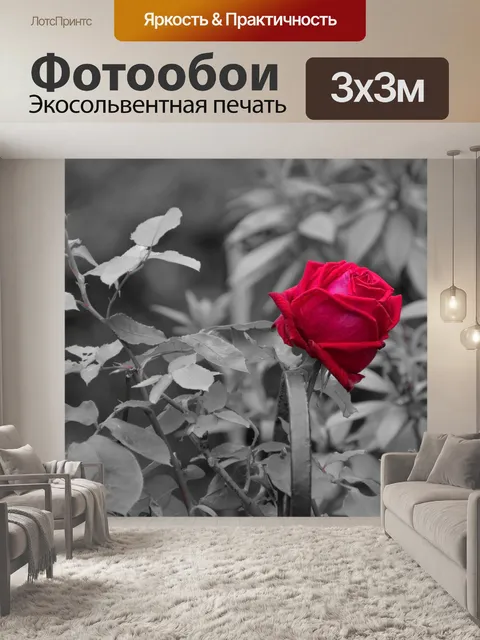 Фотообои Цветок