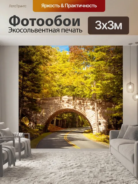 Фотообои Мост в национальном парке Акадия