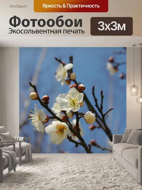 Фотообои Цветение вишни