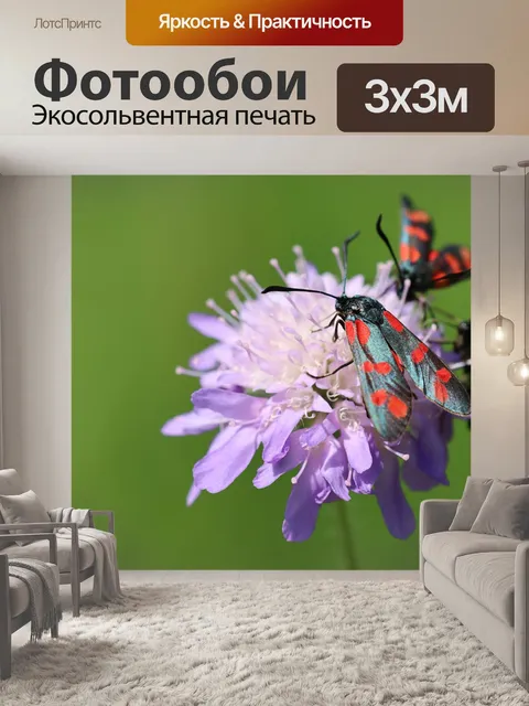 Фотообои Цветы