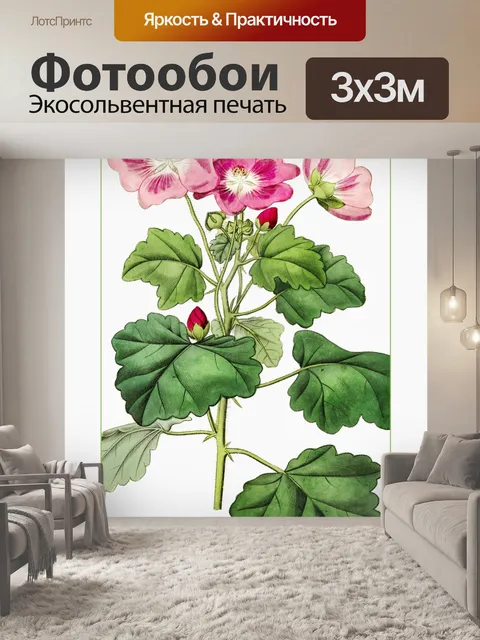 Фотообои Цветок Герань Винтаж Плакат