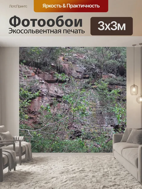 Фотообои Скала и растительность