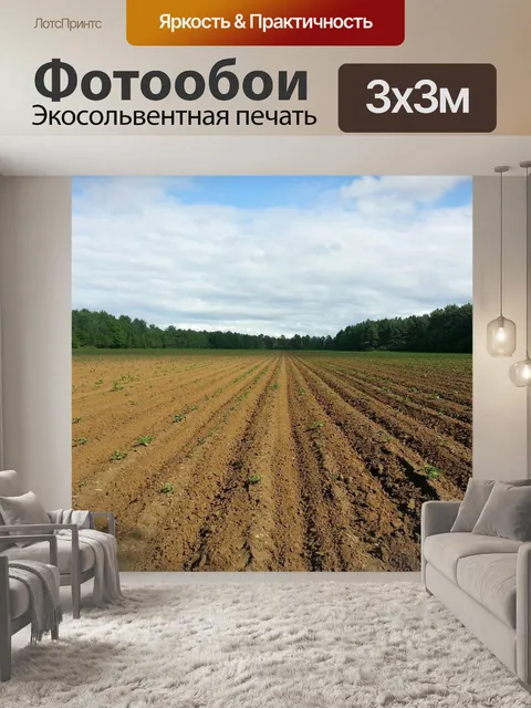 Фотообои Еда
