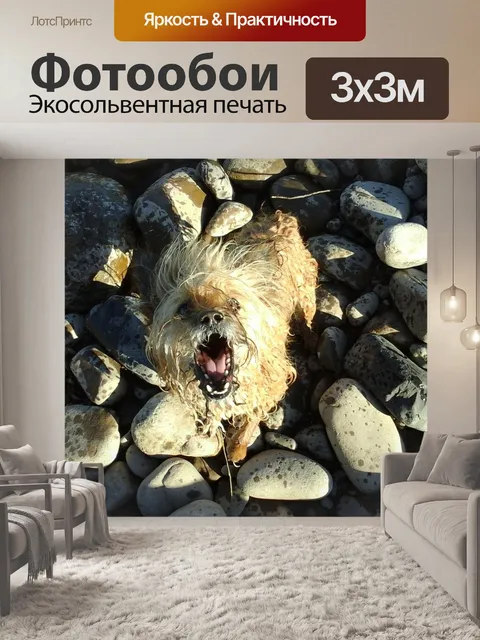 Фотообои Собака