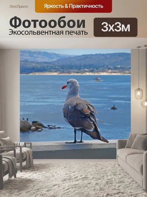 Фотообои Вода
