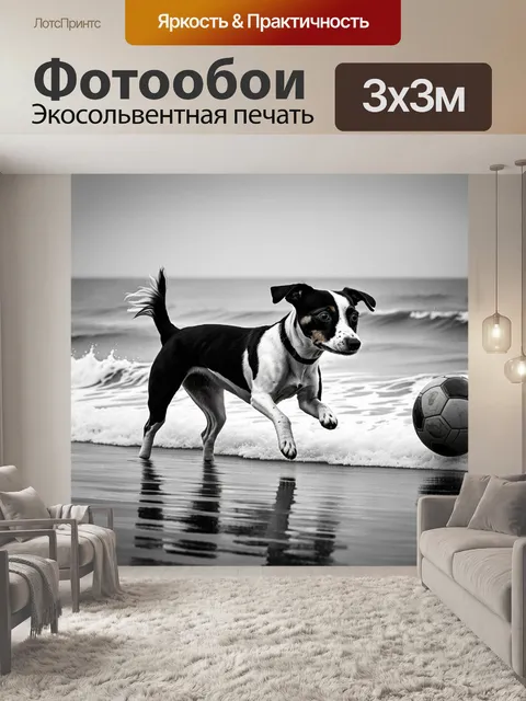Фотообои джек-рассел-терьер, ловящий мяч на пляже в холодный день