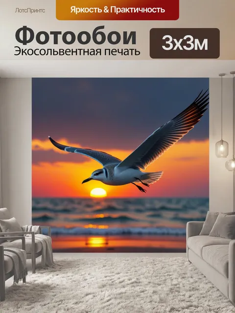 Фотообои чайка, летящая рядом с закатом