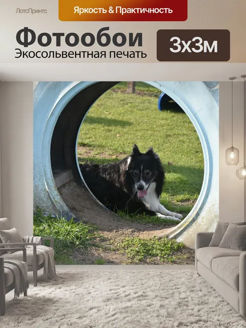 Фотообои Группа