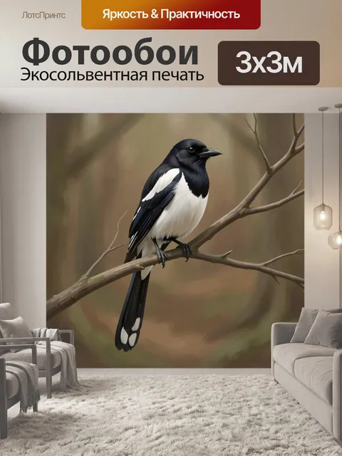 Фотообои Черно-белая птица на ветке