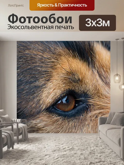 Фотообои Собака