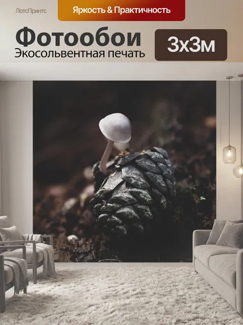 Фотообои Гриб