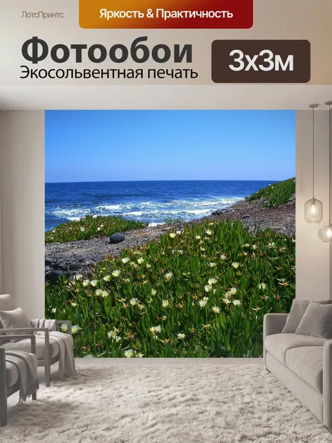 Фотообои Франция