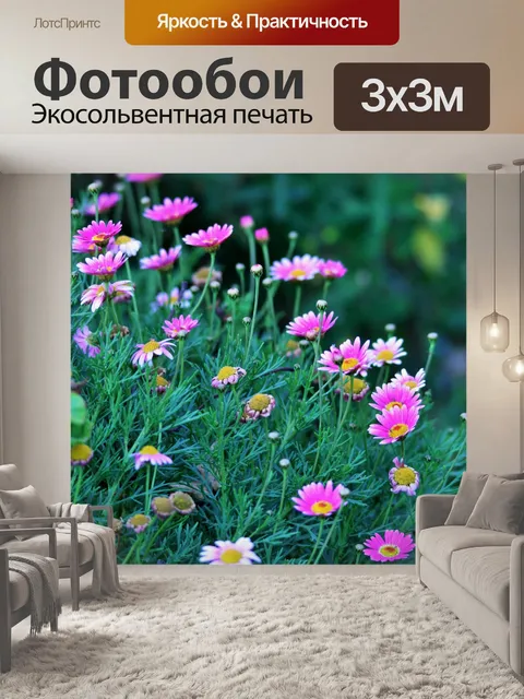Фотообои розовые маргаритки