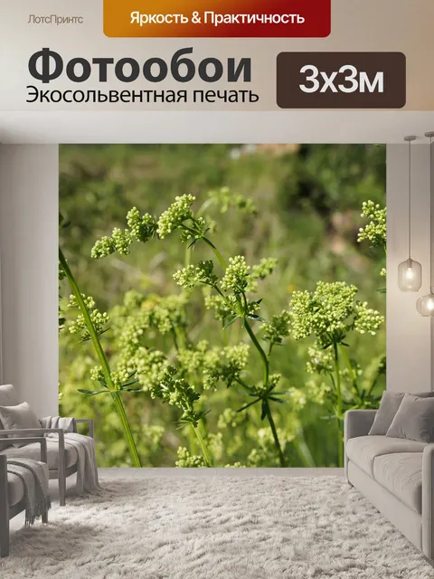 Фотообои Цветы