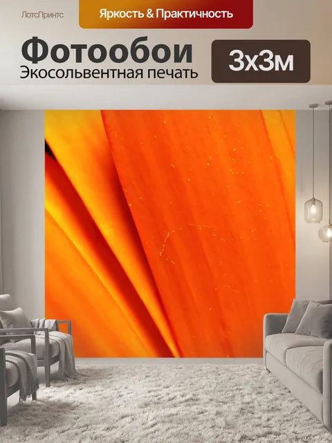 Фотообои Кливия лепестков