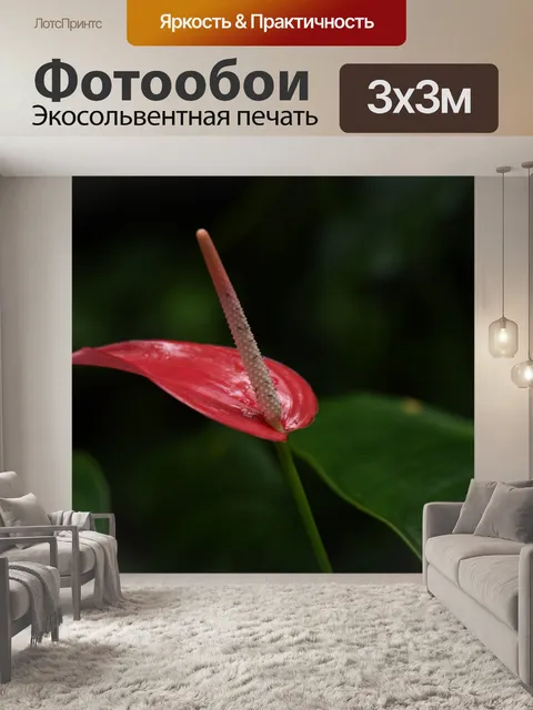 Фотообои Красный антуриум в тропическом лесу
