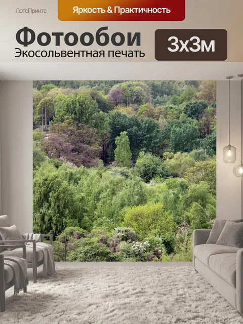 Фотообои Лес