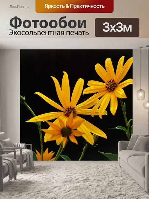 Фотообои Желтые цветы на темном фоне