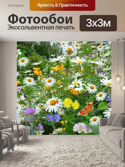 Фотообои Полевые цветы, весна