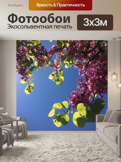 Фотообои Цветы
