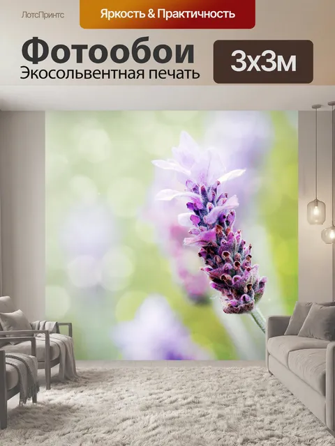 Фотообои лаванда