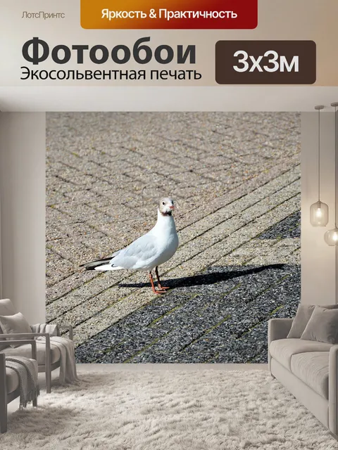 Фотообои Птицы