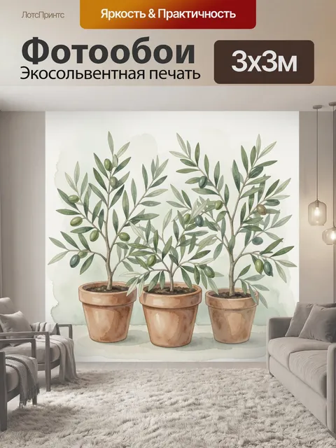 Фотообои Оливковые ветви в терракотовых горшках