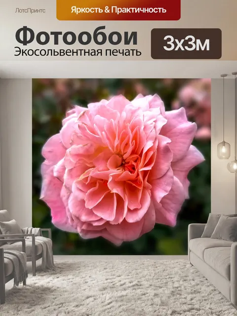 Фотообои Цветок