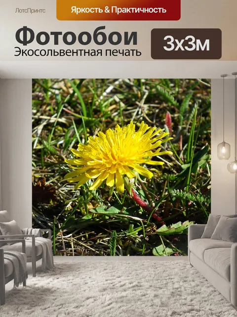 Фотообои Осот огородный