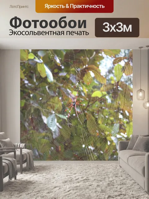 Фотообои Паук