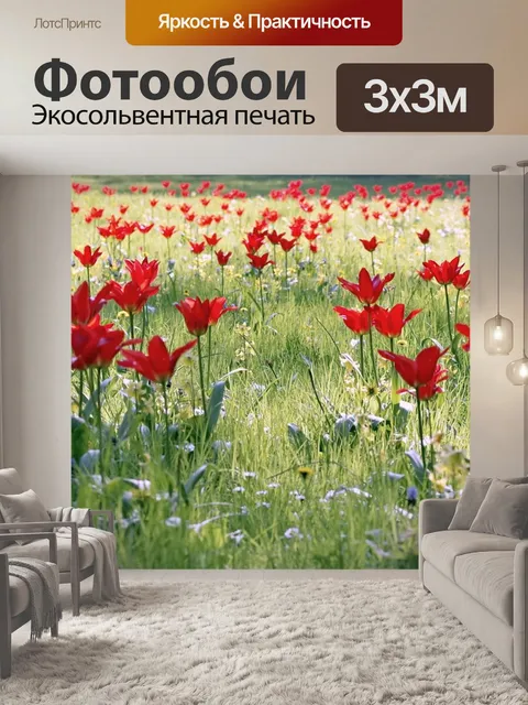 Фотообои Тюльпаны