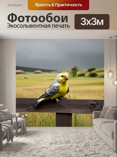 Фотообои одинокая корелла, сидящая на деревянном заборе в сельском пейзаже