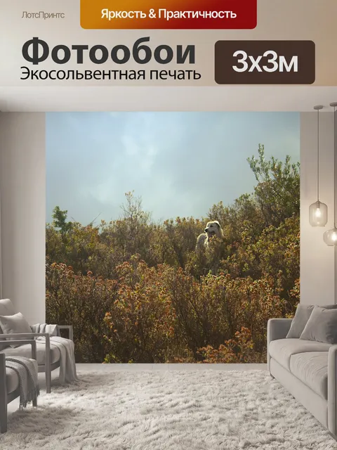Фотообои Природа