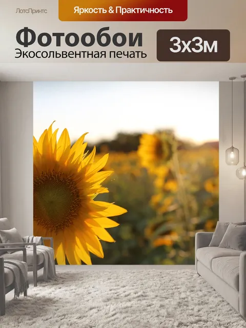 Фотообои Подсолнечник