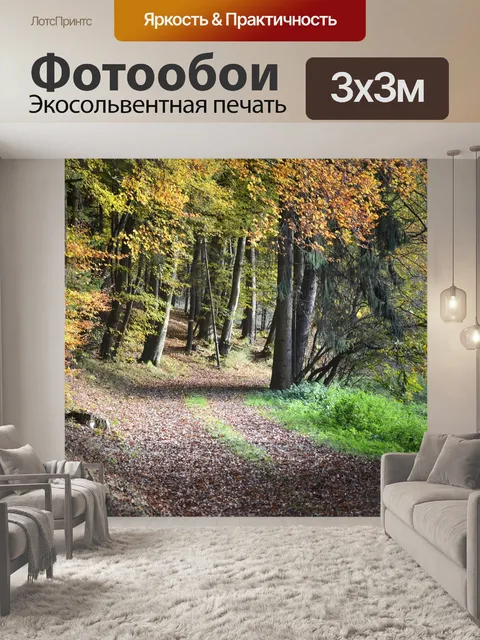 Фотообои Лесная тропа
