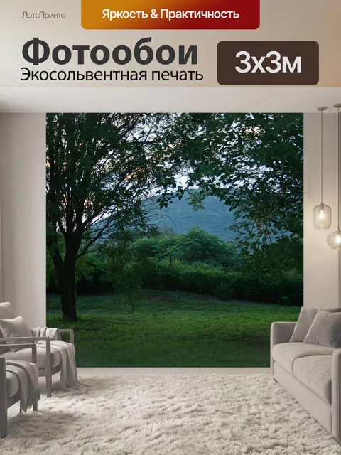 Фотообои Поздно днем ​​дерево сцены