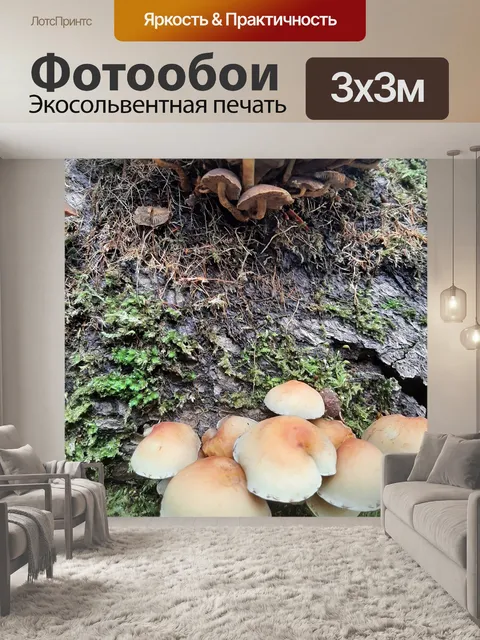 Фотообои Грибы