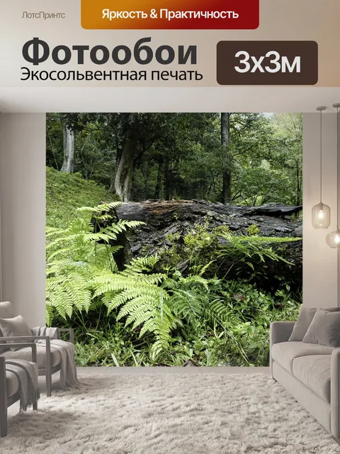 Фотообои Лес